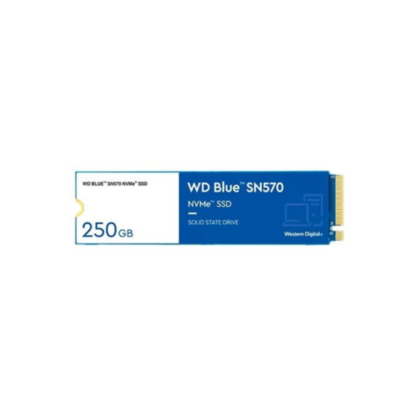 Disco SSD Western Digital  WD Blue SN570 250Gb M.2 PCIe Nvme 2280